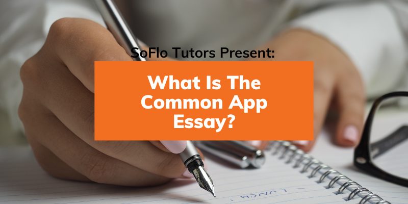 common app essay tutor